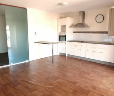 Contemporary 1 Bedroom Apartment in quiet cul-de-sac - Photo 3