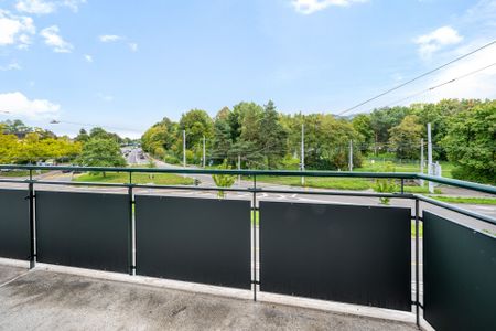 Gemütliche Wohnung in der Nähe vom Irchelpark - Photo 4