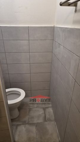 Pronájem bytu 1+1 36 m² - Photo 3
