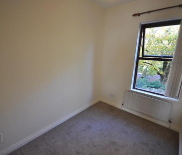 17 Musgrave Park Court, Belfast, BT9 7HZ - Photo 5