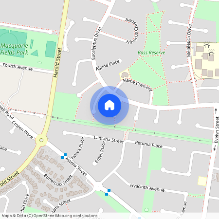 6 Moonah place, NSW 2564, Macquarie Fields