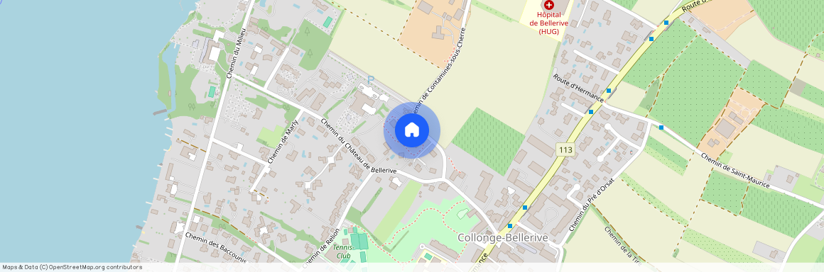 Chemin de Contamines-Sous-Cherre 11, 1245 Collonge-Bellerive