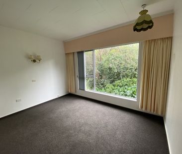 12 Lovat Street, Havelock North - Photo 5