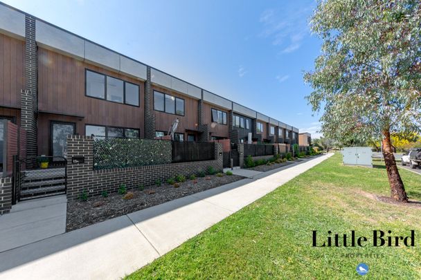 13b Negus Crescent, Watson ACT 2602 - Townhouse For Rent | Domain - Photo 1