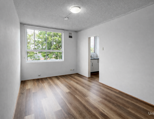 Light-filled Studio | Two Units Available Now - Photo 1