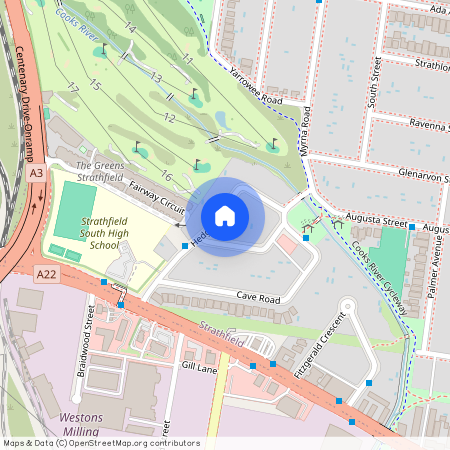 16 Hedges Avenue, 2135, Strathfield