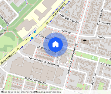 Onder Onnes: omfortabel wonen, dichtbij het centrum van Nijmegen - Foto 1