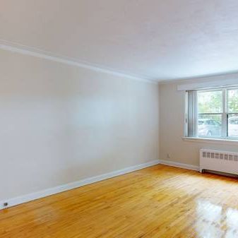 Charming 1-Bedroom Apartment Available February 1st - Photo 3