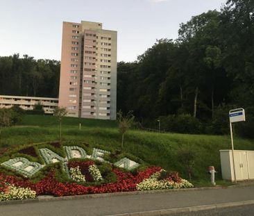 2.5 Zimmer, 57 m², 10. Stock - Photo 3