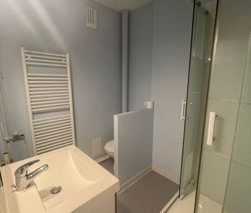 Location Appartement 1 pièce 23m² RENNES 35000 - Photo 3