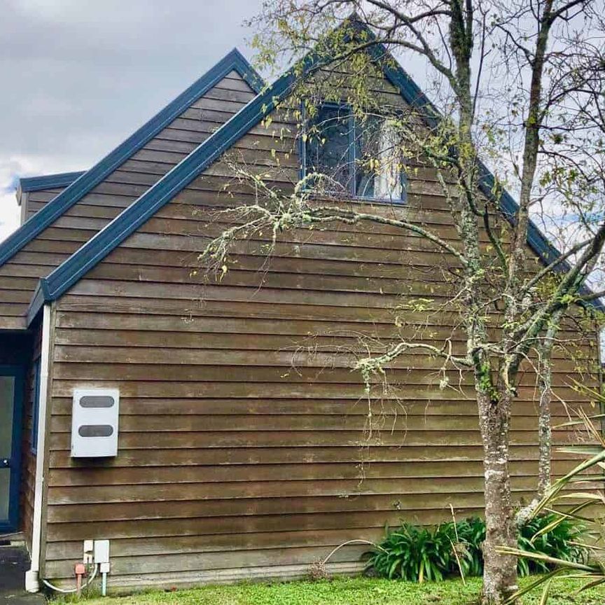 It's a little beauty... - Photo 1