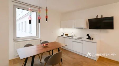 Pronájem krásného nadstandardně vybaveného bytu o dispozici 1+kk v centru města Brna na ulici Kobližná - Fotografie 5