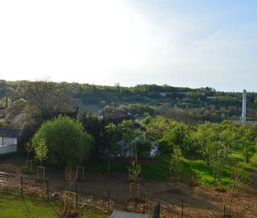 Location Appartement 2 pièces 41m² VILLERS LES NANCY 54600 - Photo 6