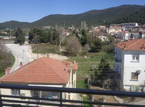 Διαμέρισμα για ενοικίαση - Πολύγυρος, - Φωτογραφία 5