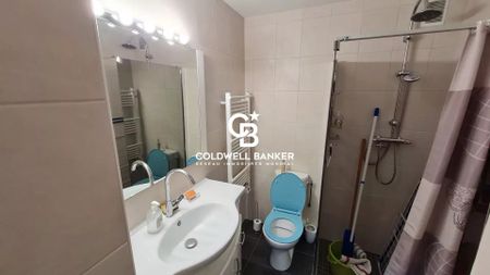 Location Appartement 1 pièce 23m² GAILLARD 74240 - Photo 3