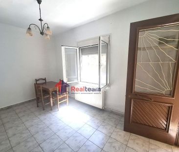 Μονοκατοικία για ενοικίαση Τσιμπούκη (Βόλος) - Φωτογραφία 6