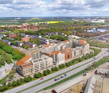Pantbrevsgatan 3B, Norra Fäladen - Photo 4