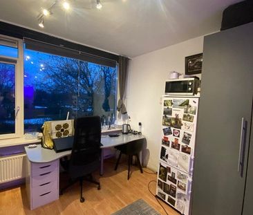 Te huur: Kamer Boksbergenstraat in Arnhem - Photo 1