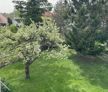Familienhaus mit Traumgarten in absoluter Grün-Ruhelage | ZELLMANN ... - Photo 6