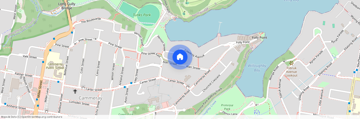 1/4 Alan Street, Cammeray NSW 2062