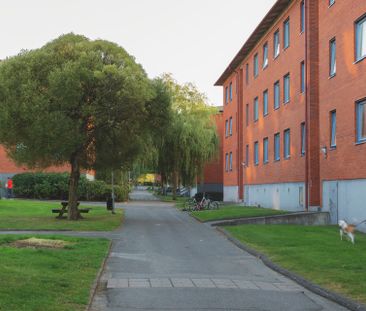 Pilegården 9E - Photo 3