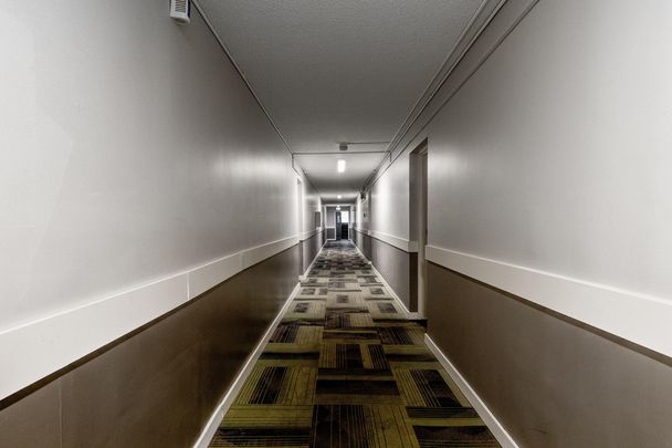 Classic Suite - 1 Bedroom - Photo 1