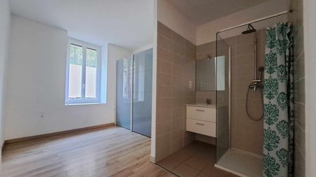 Location - Appartement T2 rénové de 35 m² avec cour privative et cagibi - Photo 2