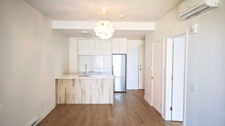 1150 Boul. René Lévesque E. Montréal (Ville-Marie), QC H2L - Photo 4