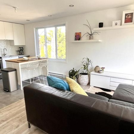 3 1/2 - Montréal (Rosemont) - 1 850 $/mois - Photo 3