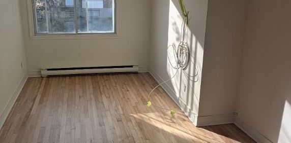 4 1/2 à louer à Lachine, libre immédiatement, proche du canal Lachine et du parc Lasalle. ( 1 place de stationnement privée ) - Photo 2