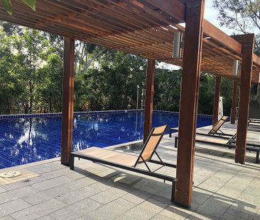 Sunny with Convenience! New Carpet! - Photo 1