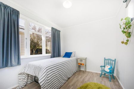 Friendly Feilding home for rent - Photo 4
