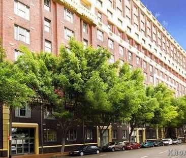 207/243 Pyrmont Street, Pyrmont NSW 2009 - Apartment For Rent | Domain - Photo 4