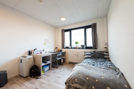 Oudergemlaan - Photo 3