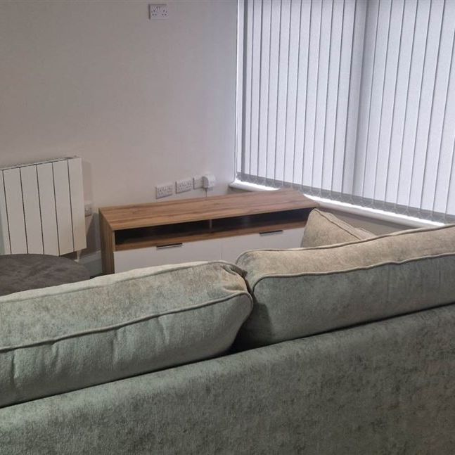 3b Lower William Street, Athy, County Kildare - Photo 1