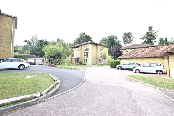 3 bedroom apartment to rent - Photo 1