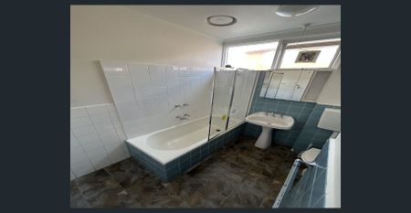 Sun-filled Spacious Two Bedroom Apartment! - Photo 3