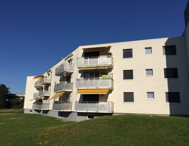 Joli appartement de 3.5 pièces rénové, proche des transports publics et commerces. Avec ascenseur, accès sécurisé et buanderie. - Foto 1
