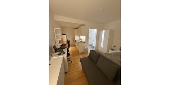 1 Zimmer-Wohnung in Zurich (ZH), möbliert - Foto 3