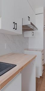 Appartement 5 ½ à louer Montcalm / Saint-Sacrement juillet 2026 - Photo 3