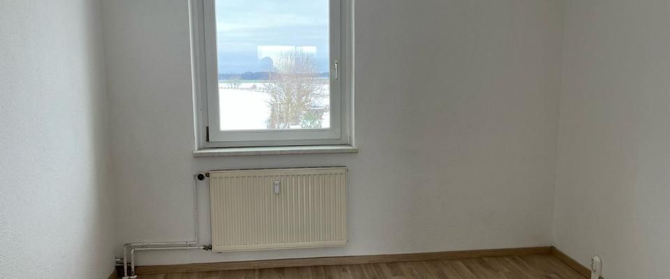 Wohnen auf dem Lande mit kurzen Wegen in die Stadt +++ 3-Raum-Wohnung mit Blick in die Natur in Pripsleben zu vermieten +++ - Foto 1