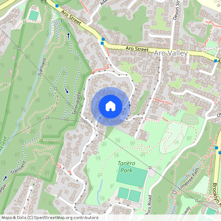 21A Mortimer Terrace, Aro Valley, Wellington City