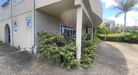 Easy Living in Manly - Photo 5