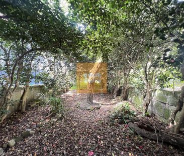 Moradia T6 em Porto - Photo 4