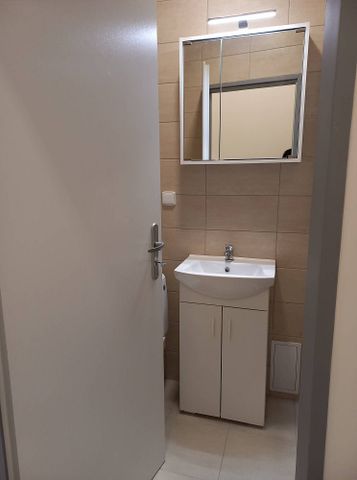 Pronájem bytu 1+1 45 m² - Photo 4