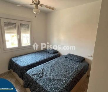 Piso en alquiler en Cabo Roig-La Zenia-La Regia - Photo 6