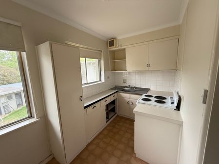 10/97 Monaro Cres, Red Hill ACT 2603 - Apartment For Rent | Domain - Photo 3