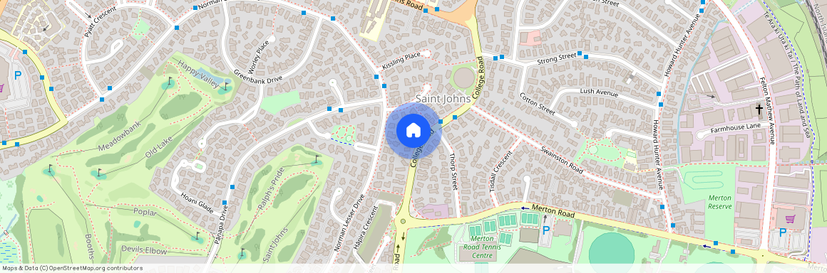 61 College Road, Saint Johns, Auckland City