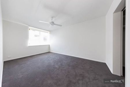 Spacious Apartment Ideally Located Opposite The Botanical Gardens! - Photo 2