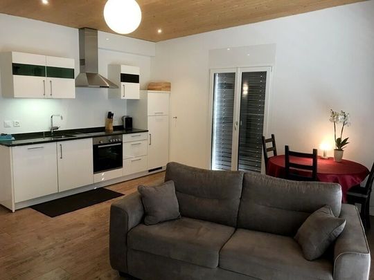 21/2 ROOM APARTMENT IN OBERGÖSGEN (SUN), FURNISHED - Photo 1